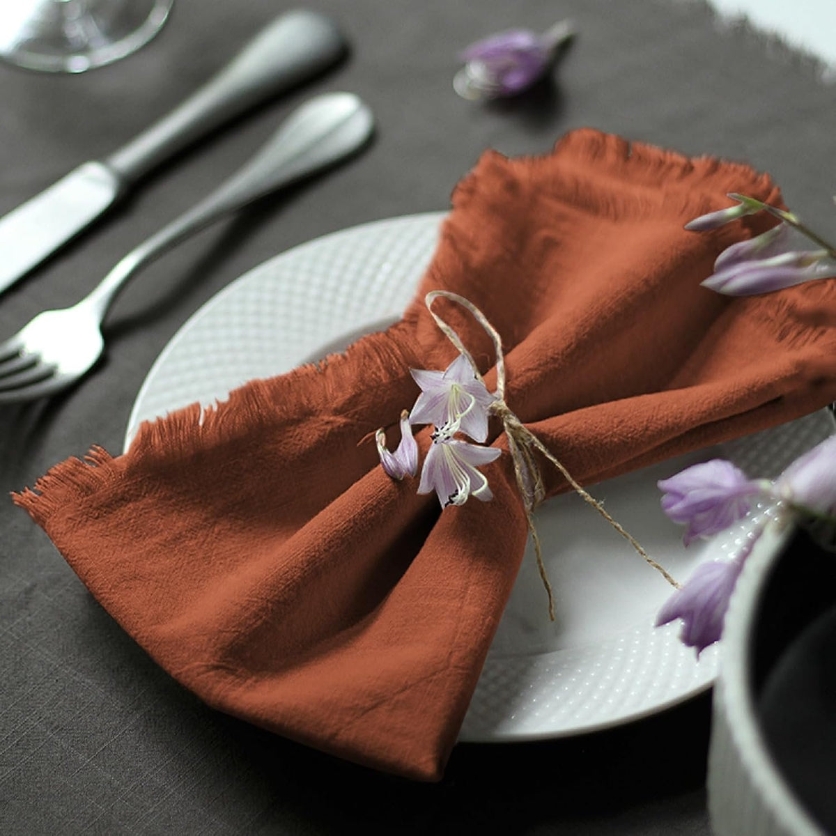 Sailorine Cotton Fringe Napkins additional product photo